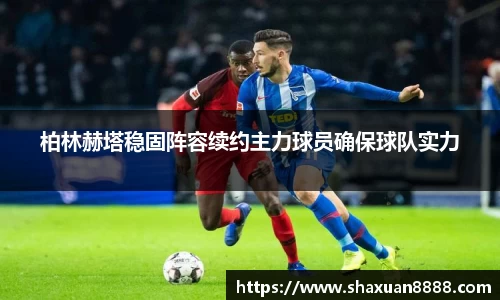 新足球体育直播