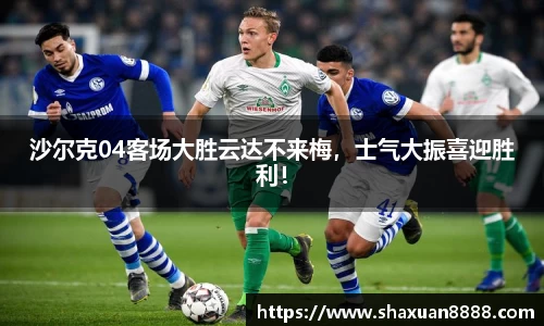 新足球直播在线观看