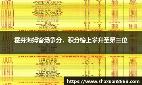 新足球体育直播