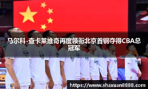 新足球直播