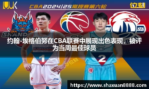 新足球直播在线观看