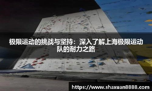 新足球直播