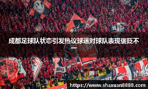 新足球直播在线观看