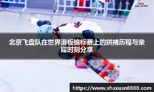 新足球体育直播