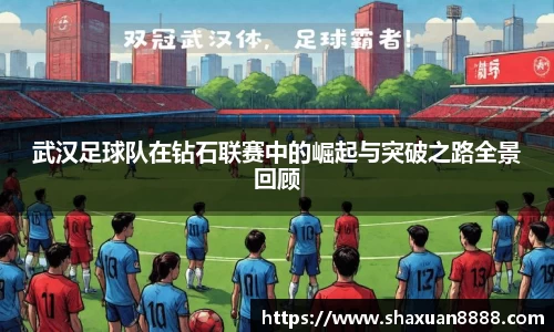 新足球直播在线观看