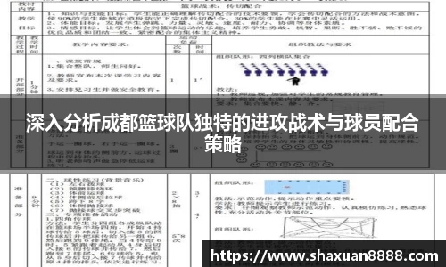 新足球体育直播