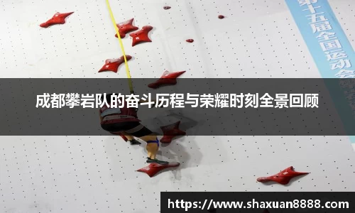 新足球体育直播