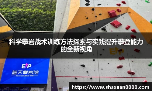 新足球直播
