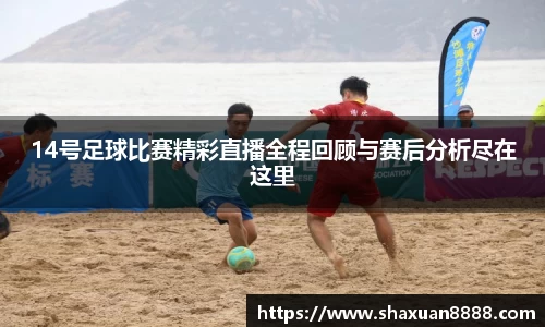 新足球直播在线观看
