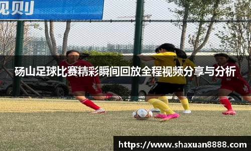 新足球直播在线观看