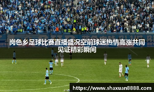 新足球体育直播