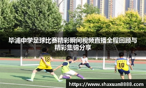 新足球体育直播
