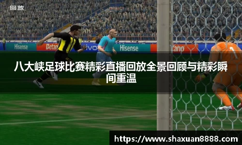 新足球体育直播
