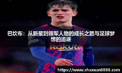 新足球直播