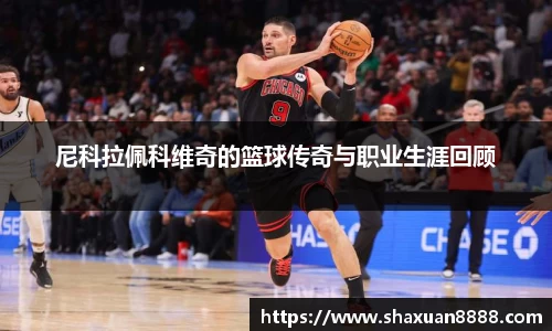 尼科拉佩科维奇的篮球传奇与职业生涯回顾